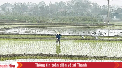 Secara proaktif memprediksi hama dan penyakit yang menyerang tanaman.
