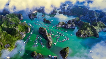 Vila Antiga de Viet Hai: Uma joia verde centenária escondida no meio do Parque Nacional de Cat Ba
