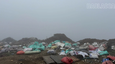 Kelurahan Sa Pa perlu mengambil tindakan tegas untuk menangani tempat pembuangan sampah ilegal tersebut.