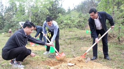 Phung Tien Quan, Leiter der Abteilung für Innere Angelegenheiten des Provinzparteikomitees, nahm an der Baumpflanzungszeremonie in der Gemeinde Quan Ba ​​teil.