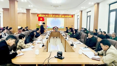 টুয়েন কোয়াং: যোগ্য প্রার্থীদের নির্বাচন করা