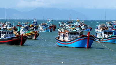 Berfokus pada persiapan menghadapi tim inspeksi EC, bertekad untuk mencabut peringatan "kartu kuning" IUU.