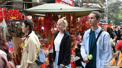 Shaping tourism development strategies in the new era.