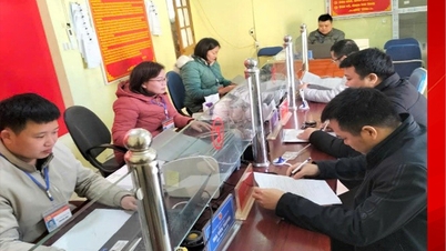 Η Nam Quang επικεντρώνεται στη βελτίωση της ποιότητας της απόδοσης της δημόσιας υπηρεσίας του προσωπικού, των δημοσίων υπαλλήλων και των εργαζομένων της.