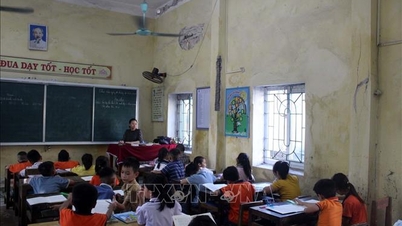 Thanh Hoa province has allocated 3,100 positions for teachers to be considered for promotion to higher professional ranks.