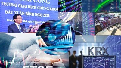Mercado bursátil en 2026: Crecimiento alineado con estándares internacionales.