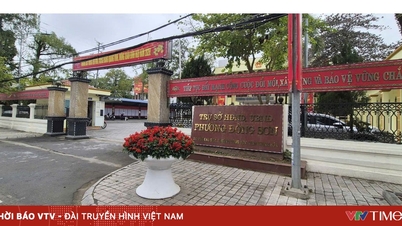 Dong Son kerület (Thanh Hoa tartomány) az év eleje óta szorosan követi a gazdaságfejlesztési feladatokat és célokat.