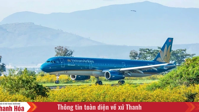 De activiteiten op de luchthaven Lien Khuong zijn sinds maart opgeschort.
