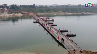 Vận hành lại cầu phao qua sông Lô, Phú Thọ