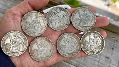 銀貨の横に広がる文化的な色彩。