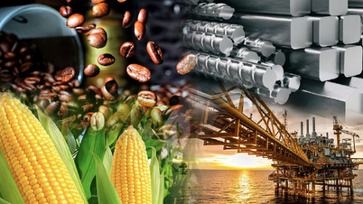 Proposta para desenvolver uma lei sobre negociação de derivativos de commodities.