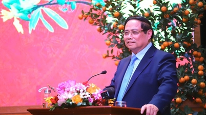 Tổ chức các chương trình nghệ thuật, vui chơi, giải trí đặc sắc, cung cấp các sản phẩm, dịch vụ văn hóa có chất lượng