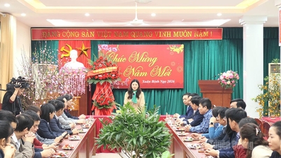 İl Halk Komitesi Başkan Yardımcısı Vuong Ngoc Ha, 27 Şubat Vietnam Doktorlar Günü vesilesiyle tebriklerini iletti.