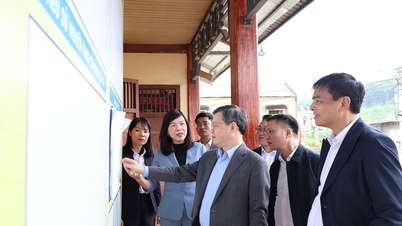 Tuyen Quang: 4 seçim bölgesi var ve bu bölgelerden 10 Ulusal Meclis temsilcisi seçiliyor.