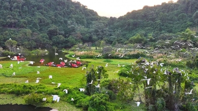 Thung Nham: Descubra el santuario natural de aves más grande del norte de Vietnam, ubicado en el corazón de la antigua capital de Hoa Lu.