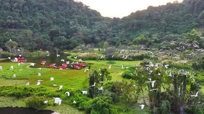Ninh Binh: Entdecken Sie Thung Nham – das größte natürliche Vogelschutzgebiet Nordvietnams, eingebettet in ein Kulturerbegebiet.