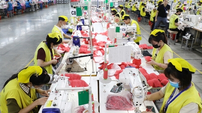 Después del Año Nuevo Lunar: los trabajadores regresan al trabajo a tiempo, las empresas mantienen una producción estable.