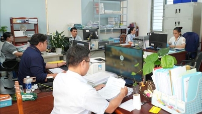 La ville d'Hô Chi Minh-Ville vise à standardiser 100 % de ses effectifs de fonctionnaires d'ici 2026.