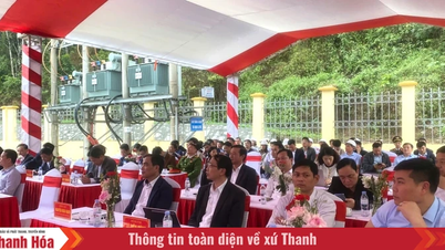 La société d'irrigation Nam Song Ma, située dans la province de Thanh Hoa, a commencé sa production au début de l'année du Cheval (2016).