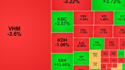 25 февраля индекс VN-Index снизился, но объем торгов остался высоким.