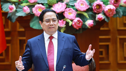 Thủ tướng chủ trì họp Ban Chỉ đạo về phát triển khoa học, công nghệ, đổi mới sáng tạo