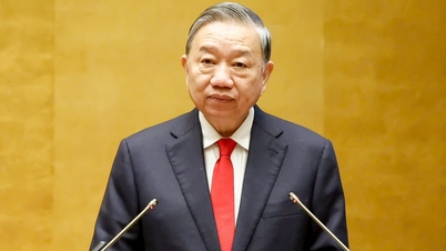 決議79号及び80号の実施に関する会議におけるト・ラム事務総長の発言