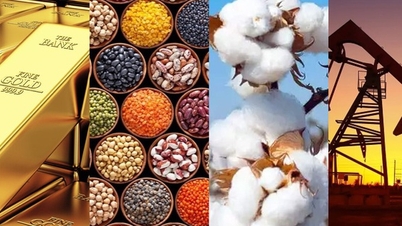 Emtia türevleri ticaretine katılan yatırımcılarla ilgili önerilen düzenlemeler.