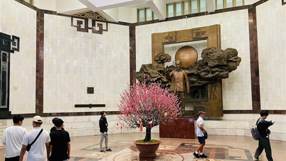 Ho Chi Minh Müzesi, 2026 Ay Takvimi At Yılı'nda 13.000'den fazla ziyaretçiyi ağırladı.