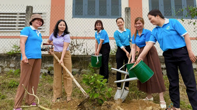 The Women's Union of Tay Ninh Hoa commune launched the "Tree Planting Festival to forever remember President Ho Chi Minh".