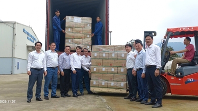 Lao Cai: Las organizaciones económicas colectivas y los miembros de la Unión Cooperativa comienzan inmediatamente las actividades productivas y comerciales.