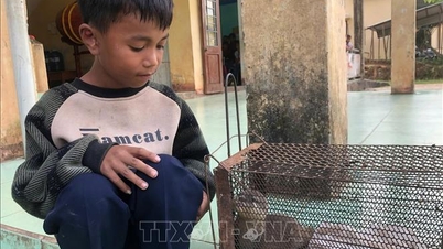 Quang Tri reçoit un spécimen rare de loutre.