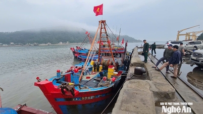 Fishermen in Cua Lo strike it rich with a catch worth over 200 million VND after their first fishing trip of the year.