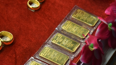 Cours de l'or cet après-midi, 25 février 2026 : cours de l'or SJC, prix d'une bague en or 9999, graphique du cours de clôture de l'or en milieu de semaine.