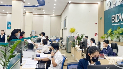 Thai Nguyen: Piața de credit este în plină expansiune la începutul anului.