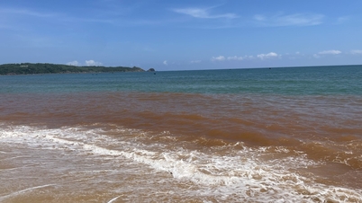 ジャライ島の海水の奇妙な赤色変色：藻の大量発生ではない。