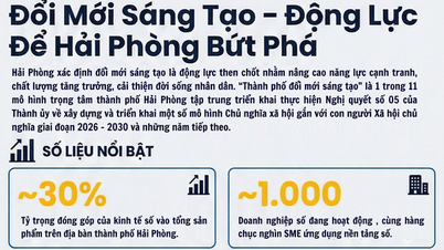នវានុវត្តន៍គឺជាកម្លាំងចលករសម្រាប់ភាពជោគជ័យរបស់ទីក្រុងហៃផុង។