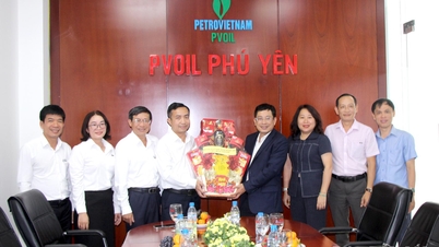 Leaders of the Phu Yen Economic Zone Management Board visit and extend New Year greetings to businesses starting production at the beginning of the year.