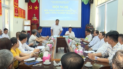 Ca Mau ২০২৬ সালে ক্ষুদ্র ও মাঝারি আকারের উদ্যোগের জন্য আইনি সহায়তা কর্মসূচি বাস্তবায়ন করে।