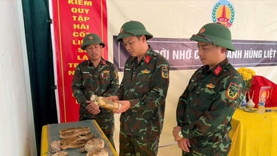 Quang Tri: Two remains of fallen soldiers discovered along with numerous artifacts.