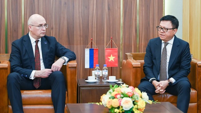[Video] De krant Nhan Dan ontvangt een delegatie van persbureau TASS (Russische Federatie)