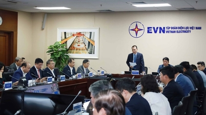 EVN implementează urgent sarcini imediat după sărbătoarea Anului Nou Lunar.