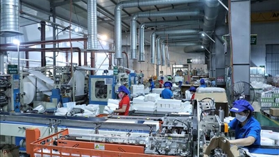 Highlights of Vietnam's economic news on February 25, 2026