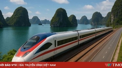 ハノイ・クアンニン高速鉄道（時速350キロ）の路線計画が確定した。