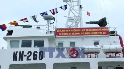 Ho Chi Minh-byen er klar til å avholde nyvalg til sjøs.