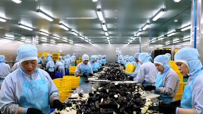 年初めの工業地帯の活気ある生産の雰囲気。