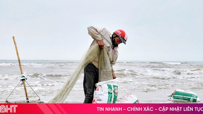 Ốc tép dạt vào bờ, ngư dân Hà Tĩnh phấn khởi thu "lộc biển"