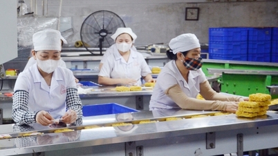 Persatuan Veteran Quang Ninh: Merintis "barisan hadapan" pembangunan ekonomi.