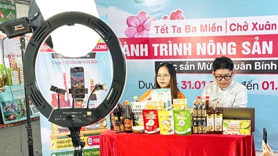 Impulsando la transformación digital en la promoción comercial.
