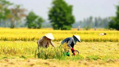 ຍົກລະດັບຄວາມຮູ້ກ່ຽວກັບການຝຶກອົບຮົມວິຊາຊີບໃຫ້ແກ່ແຮງງານຊົນນະບົດທີ່ກ່ຽວຂ້ອງກັບການພັດທະນາເສດຖະກິດ-ສັງຄົມ.