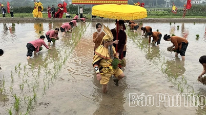 পূর্বপুরুষের ভূমিতে তেচ দিয়েন অনুষ্ঠানের চেতনা সংরক্ষণ করা।